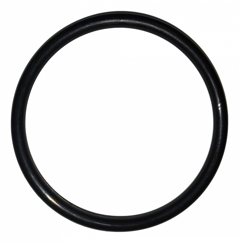 018572 Feed Tube O-Ring